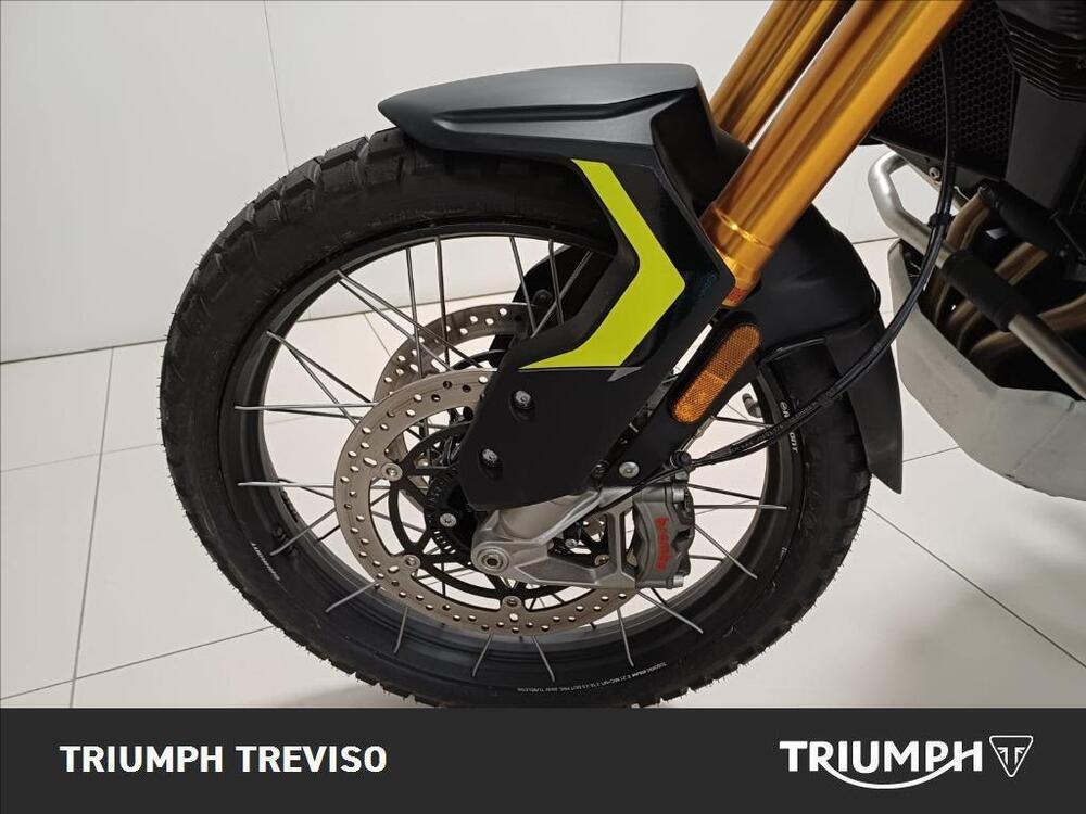 Triumph Tiger 900 Rally Pro (2024 - 25) (3)