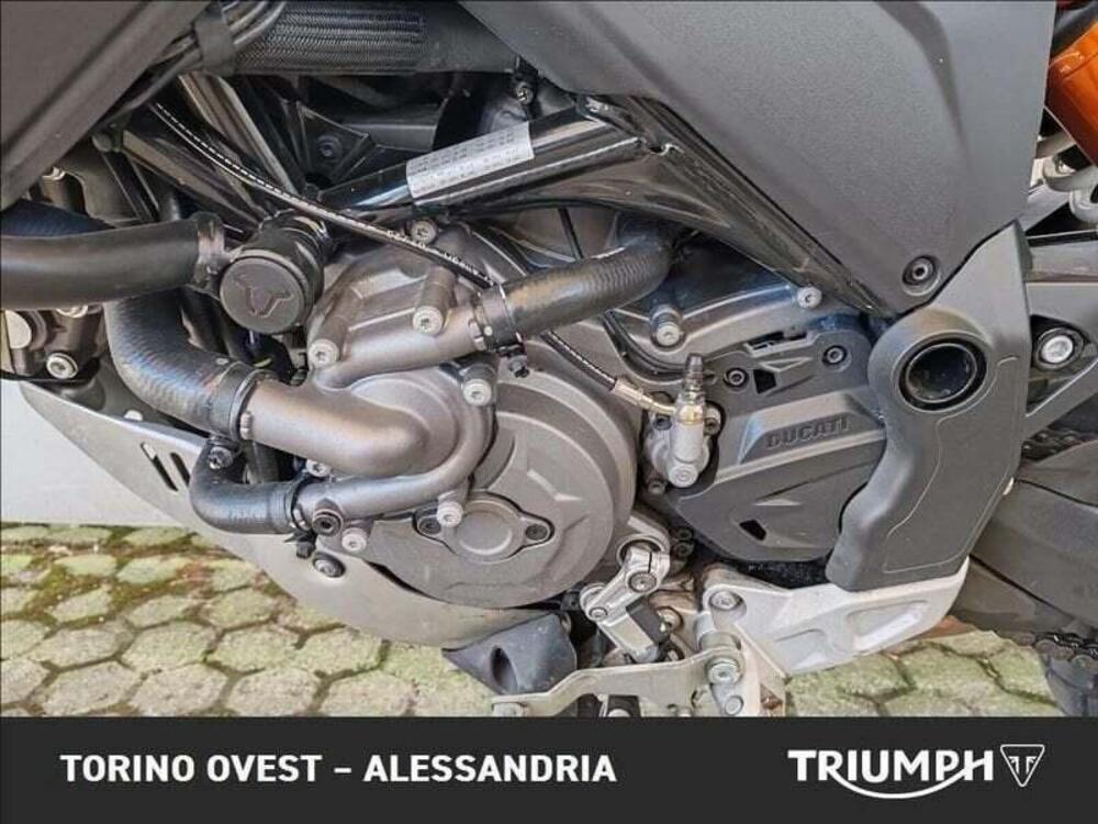 Ducati DesertX (2022 - 25) (7)