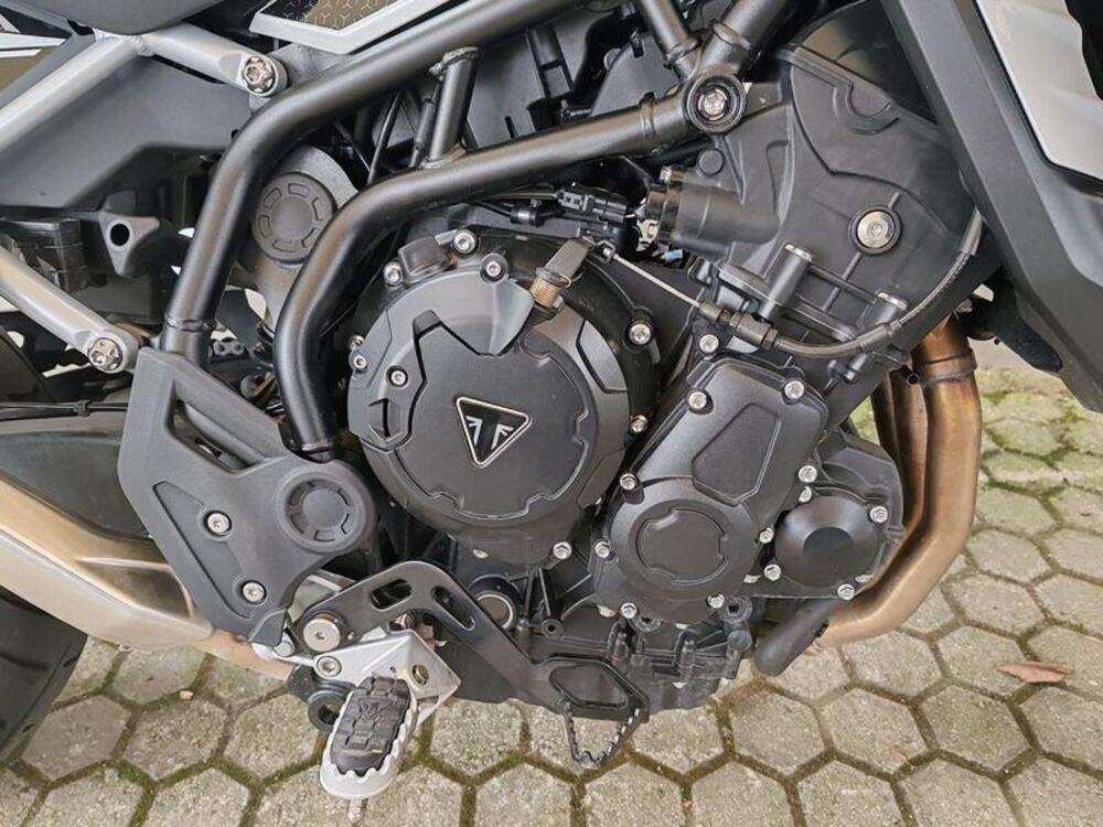 Triumph Tiger 900 GT (2024 - 26) (14)