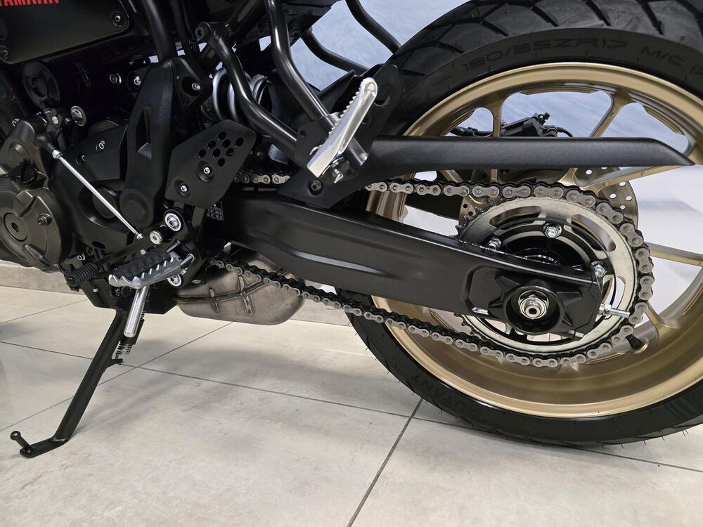 Yamaha XSR 700 XTribute (2022 - 24) (7)