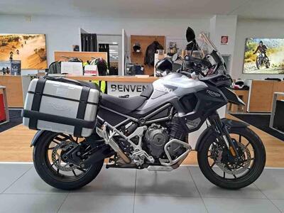 Triumph Tiger 1200 GT Pro (2024 - 25) usata