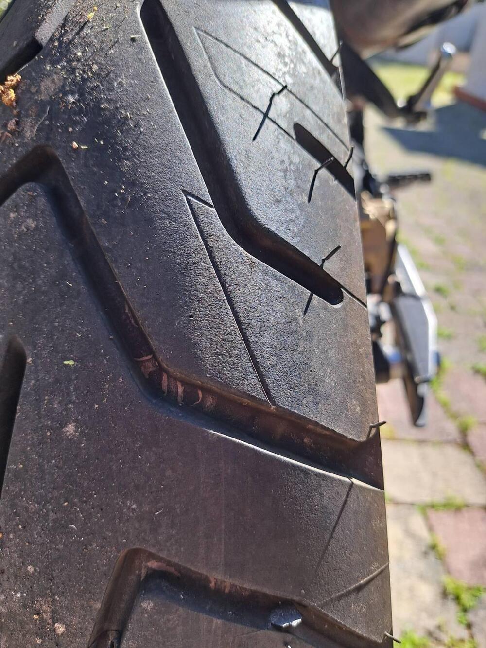 Fantic Motor Caballero 500 Scrambler (2021 - 23) (7)