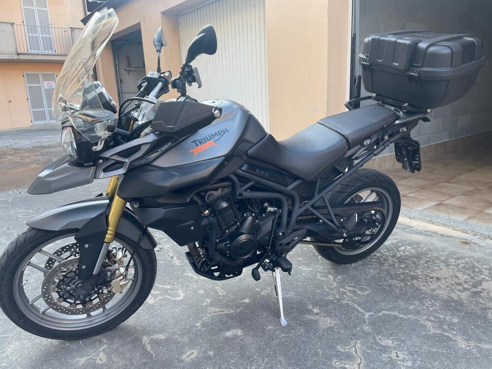 Triumph Tiger 800 ABS (2010 - 14) (6)