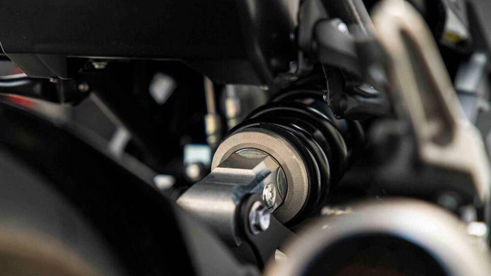 Kawasaki Z 900 (2021 - 24) (15)