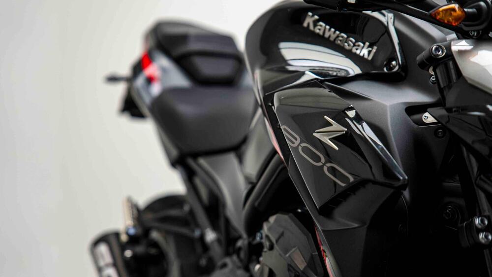 Kawasaki Z 900 (2021 - 24) (17)