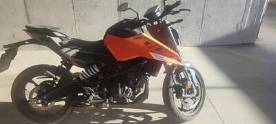 KTM 125 Duke (2024 - 26) usata