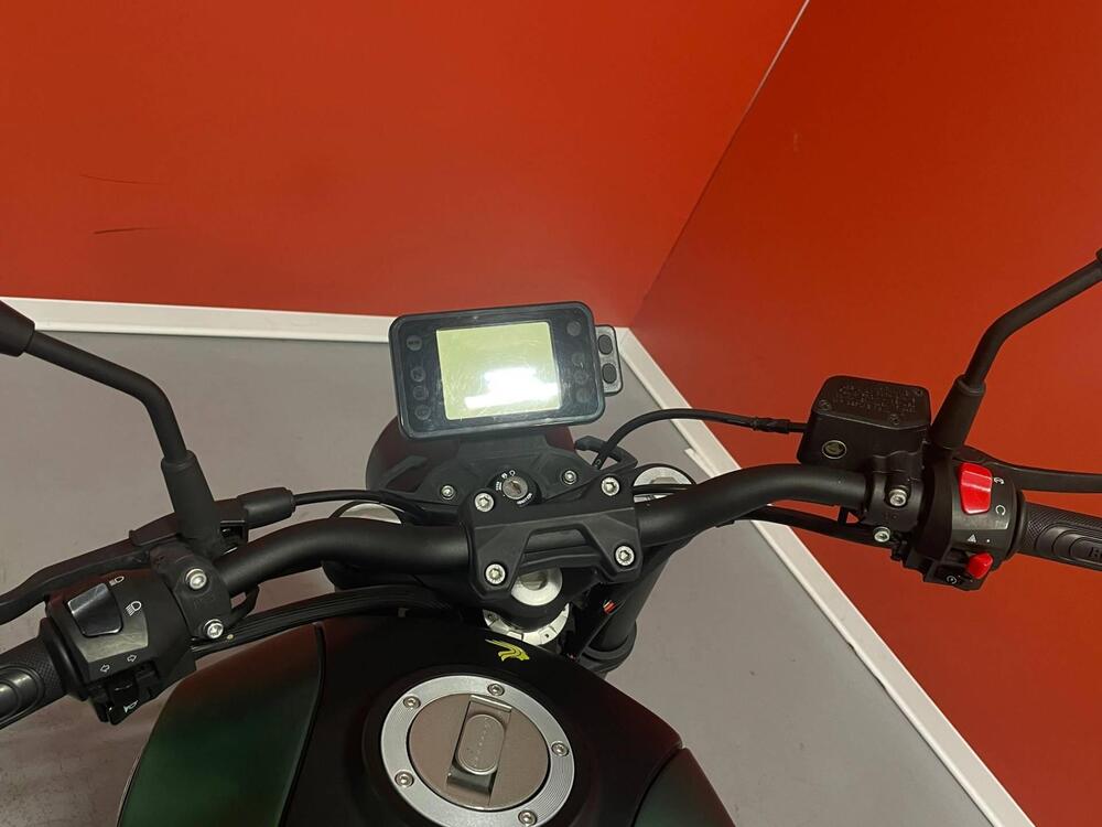 Benelli Leoncino 125 (2022 - 25) (9)