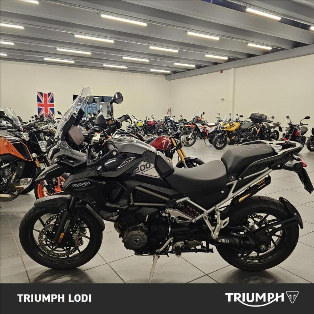 Triumph Tiger 1200 GT Pro (2024 - 25) (3)