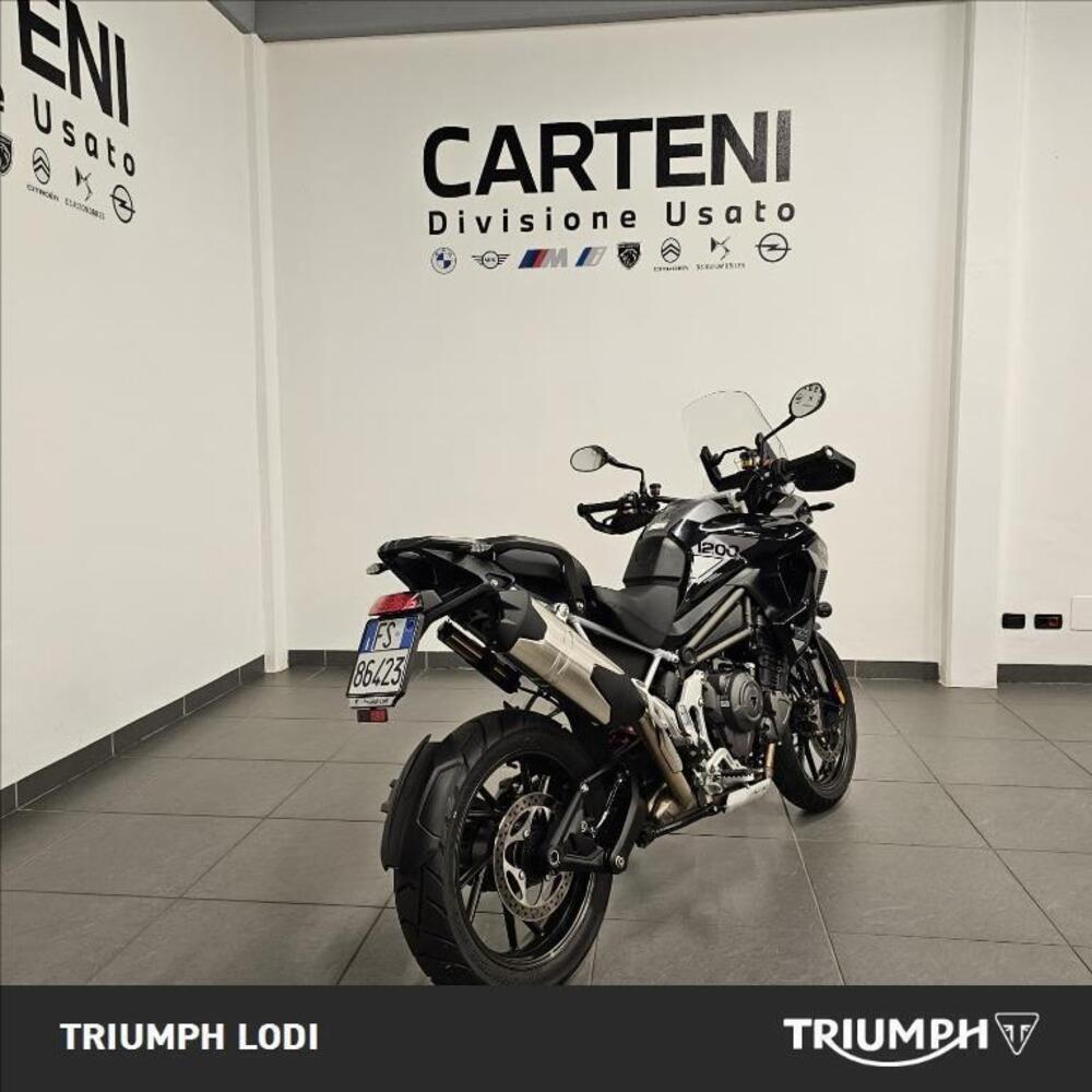 Triumph Tiger 1200 GT Pro (2024 - 25) (4)