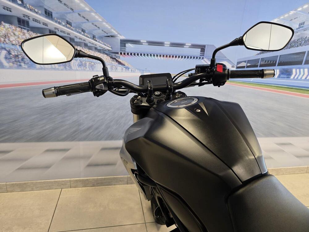 Honda CB 300 R (2018 - 19) (12)