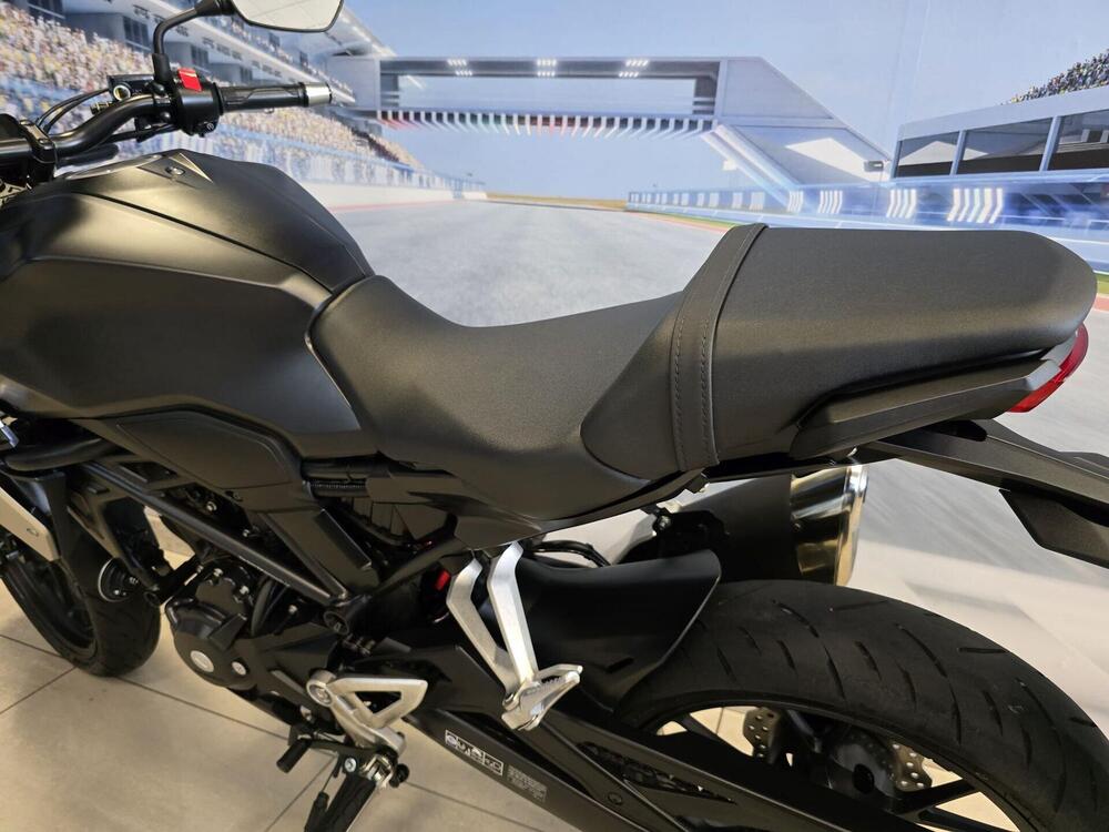 Honda CB 300 R (2018 - 19) (14)
