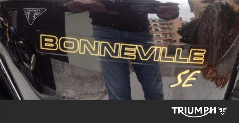 Triumph Bonneville SE (2009 - 13) (5)