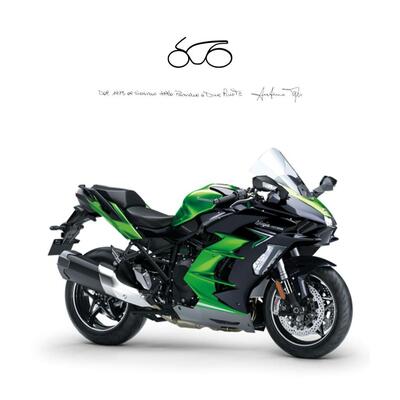 Kawasaki Ninja H2 SX SE (2023 - 26) usata