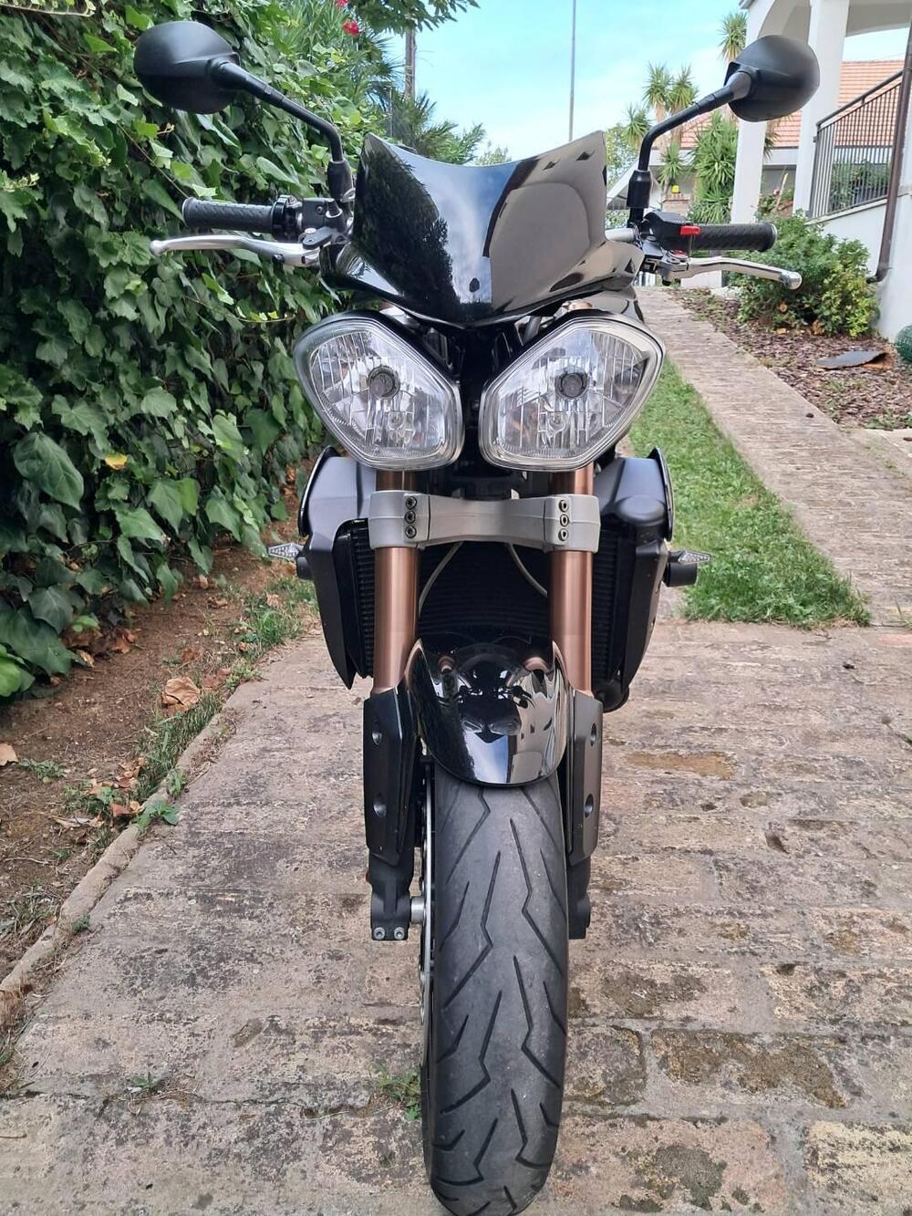 Triumph Speed Triple 1050 R (2011 - 13) (2)