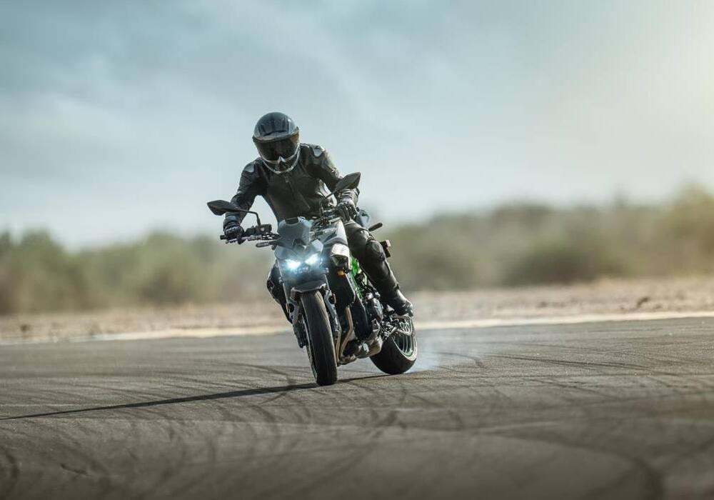 Kawasaki Z 900 (2025 - 26) (12)