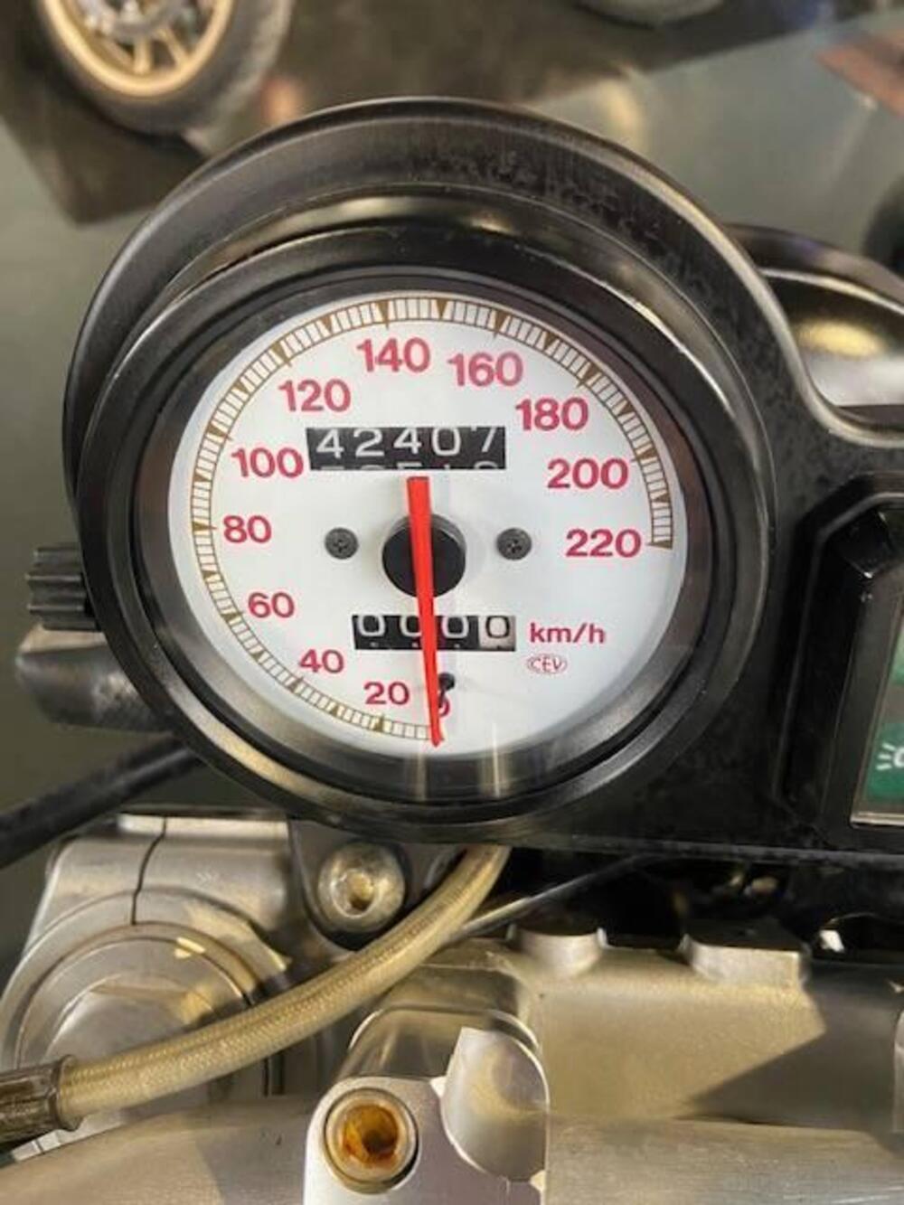 Ducati Monster 600 (1994 - 02) (9)