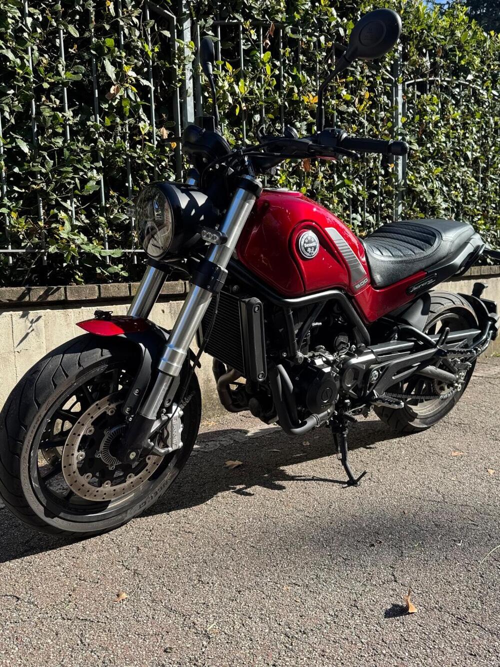 Benelli Leoncino 500 (2021 - 25) (4)