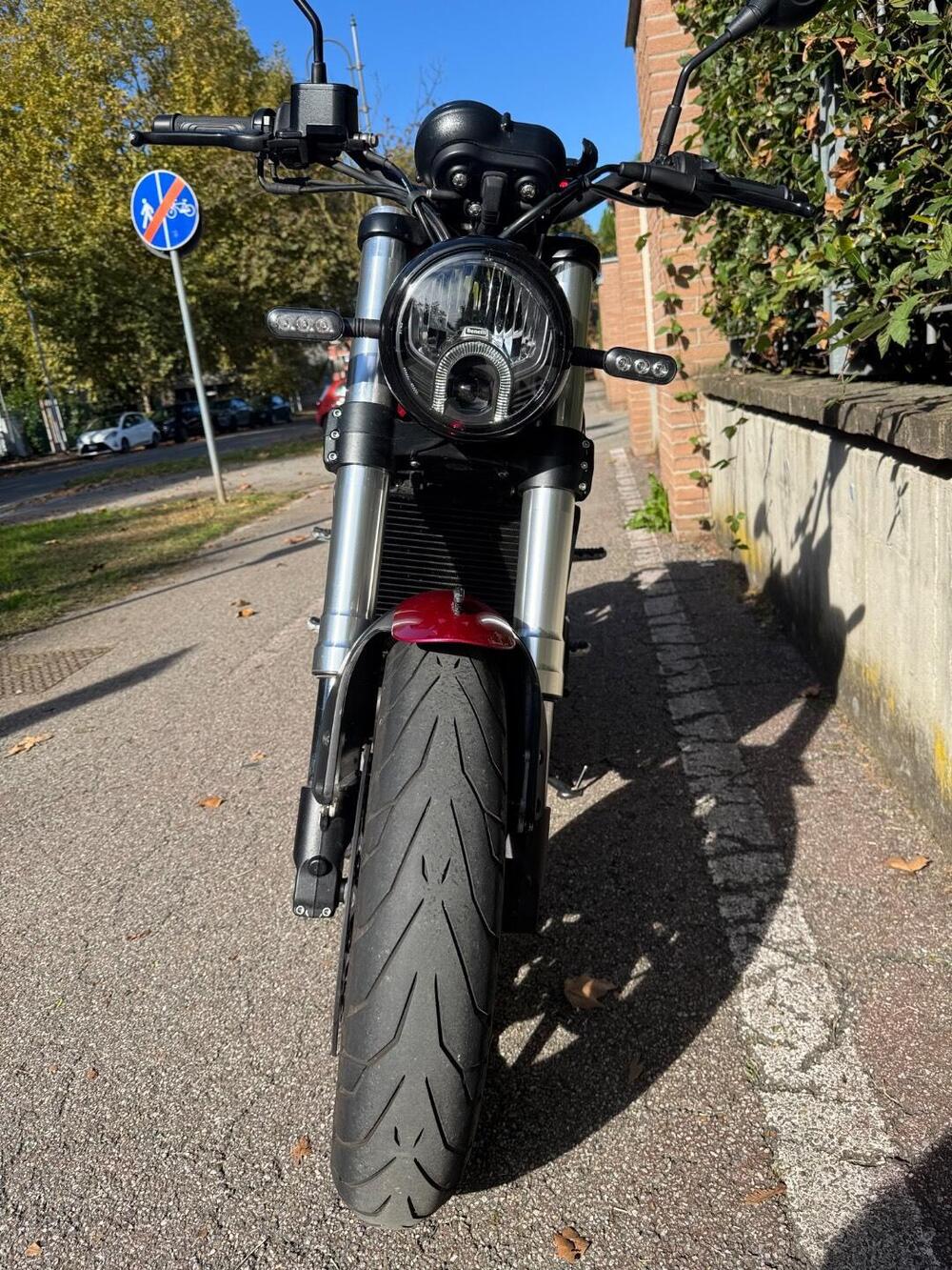 Benelli Leoncino 500 (2021 - 25) (8)