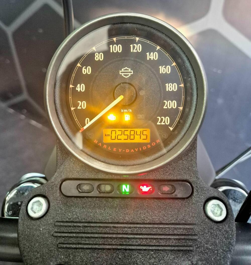 Harley-Davidson 1200 Iron (2018 - 20) - XL1200N (10)