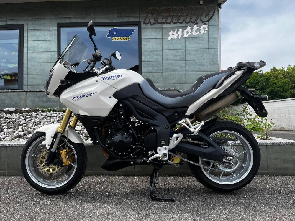 Triumph Tiger 1050 (2006 - 12) (3)