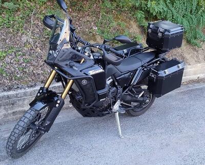 Yamaha T&eacute;n&eacute;r&eacute; 700 World Raid (2022 - 25) usata