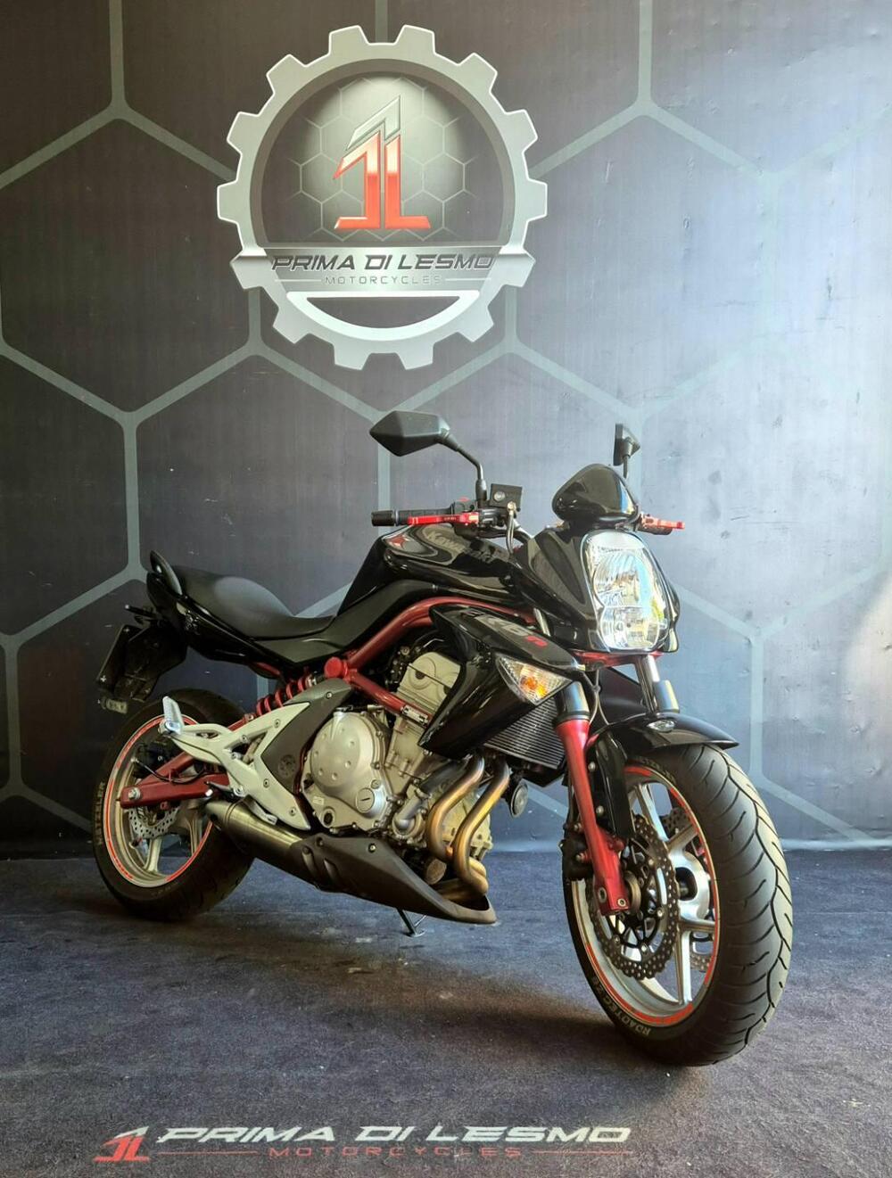 Kawasaki ER-6N (2006 - 09) (4)