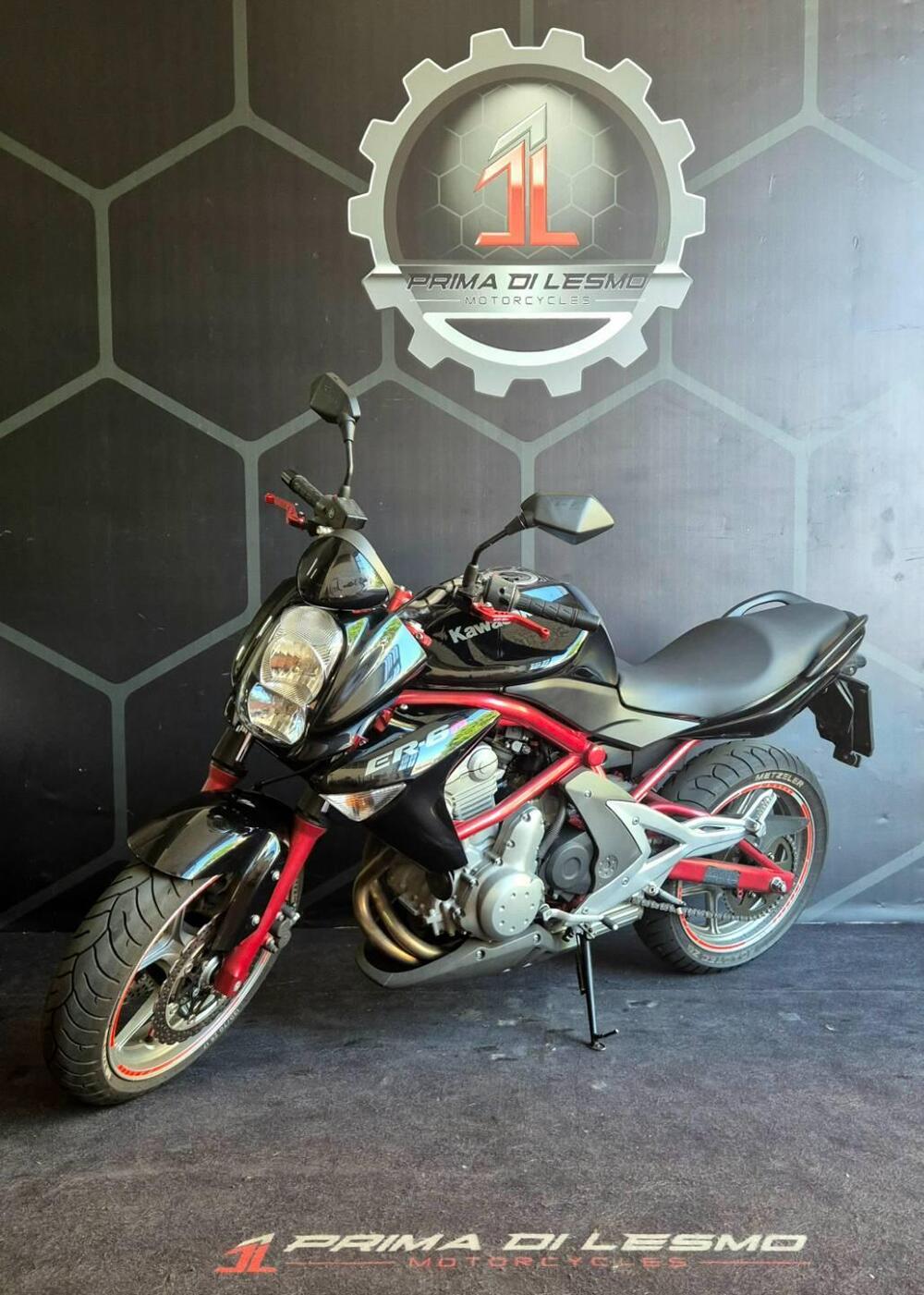 Kawasaki ER-6N (2006 - 09) (3)