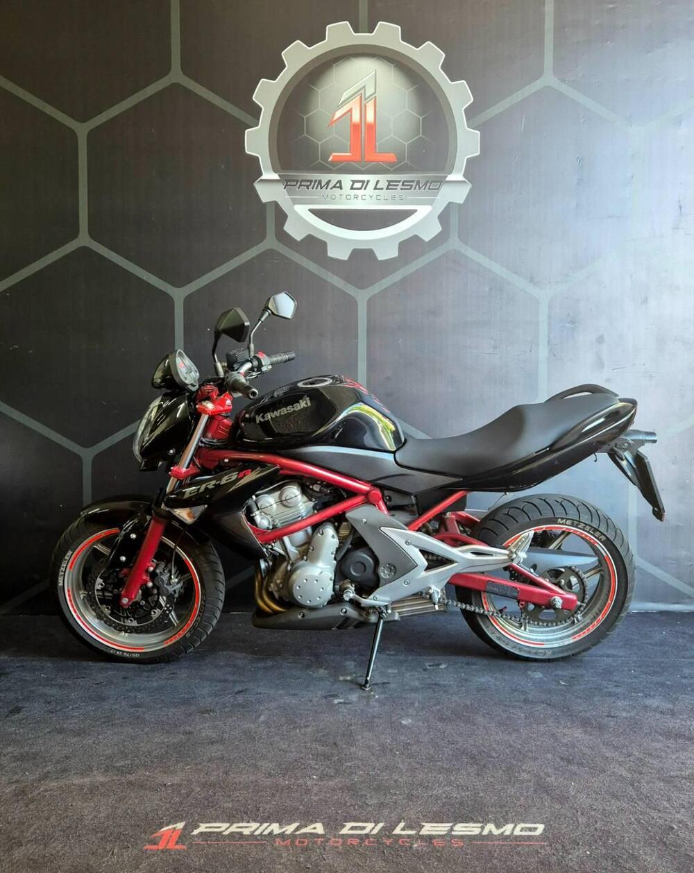 Kawasaki ER-6N (2006 - 09) (2)