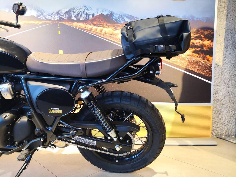 Royal Enfield Bear 650 (2025) (9)