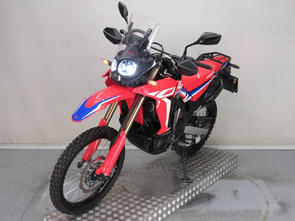 Honda CRF 300 Rally (2021 - 24) (3)