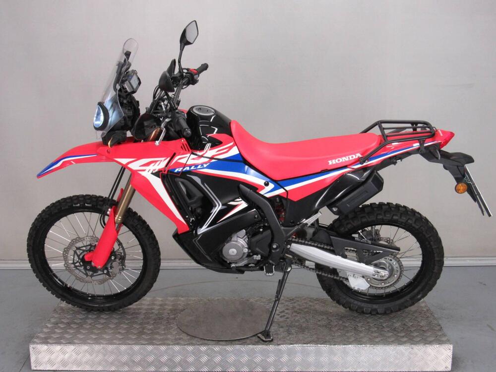 Honda CRF 300 Rally (2021 - 24) (4)