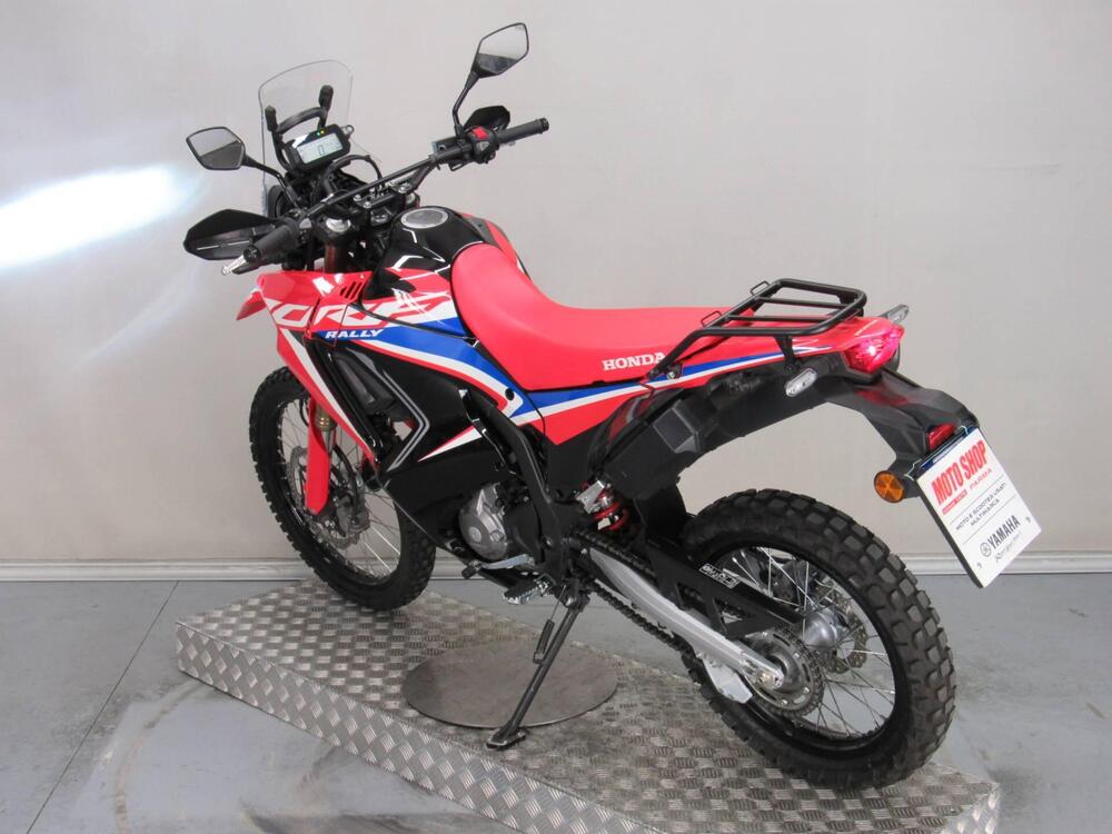 Honda CRF 300 Rally (2021 - 24) (5)