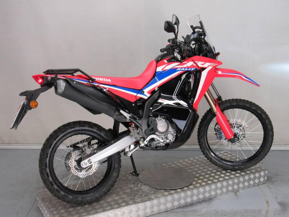 Honda CRF 300 Rally (2021 - 24) (6)