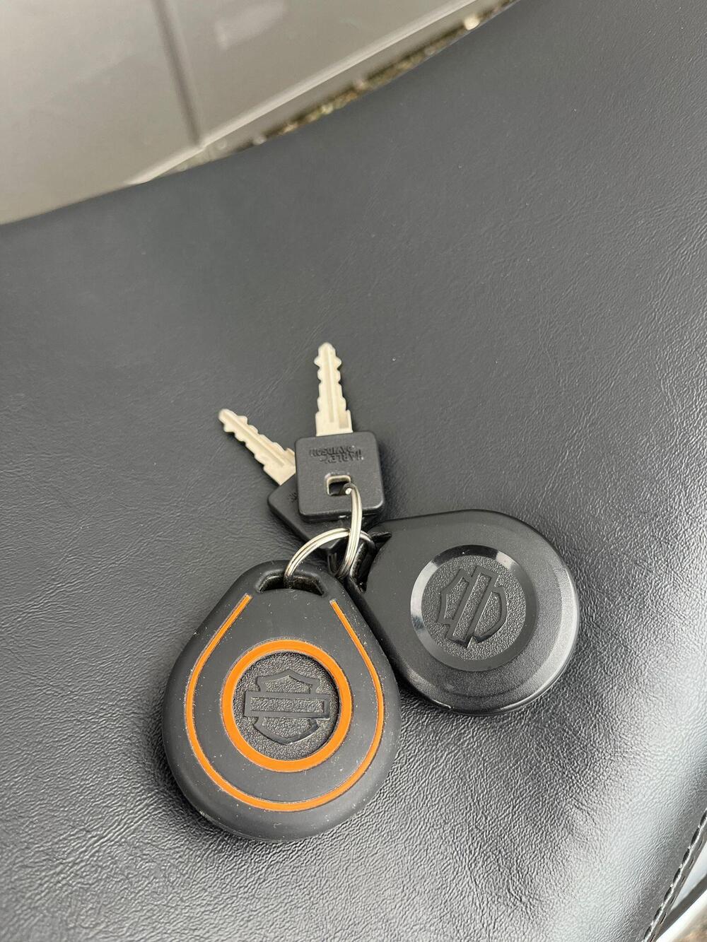 Harley-Davidson 1200 Custom CA (2013 - 17) - XL 1200CA (10)