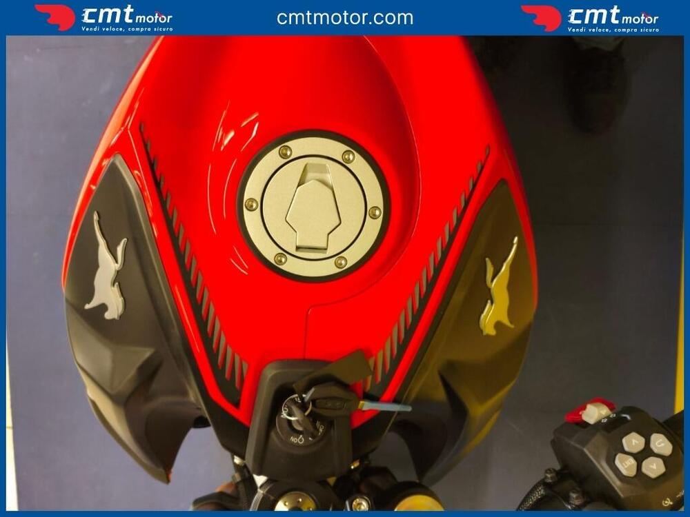 TVS Motor RTR 310 (2024 - 25) (11)