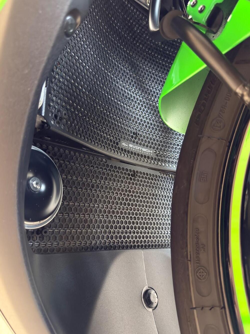 Kawasaki Ninja 1000 ZX-10R (2021 - 25) (10)