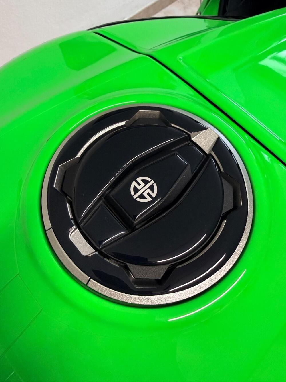 Kawasaki Ninja 1000 ZX-10R (2021 - 25) (13)