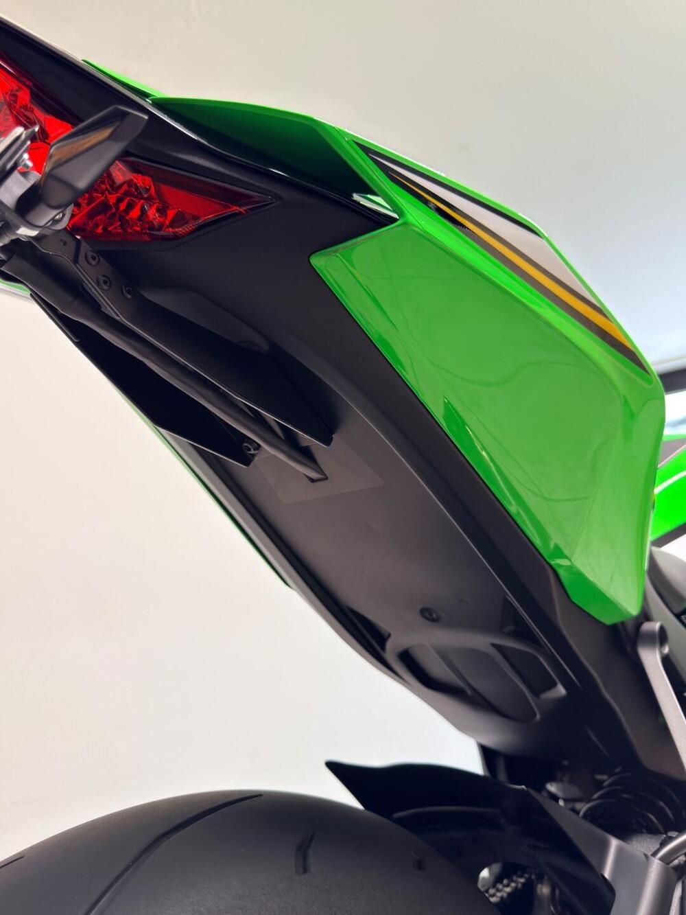 Kawasaki Ninja 1000 ZX-10R (2021 - 25) (20)