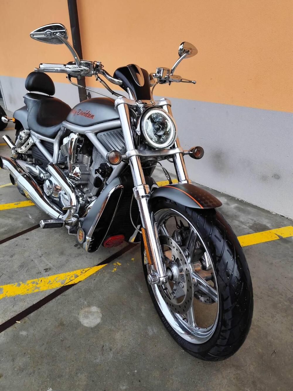 Harley-Davidson 1250 V-Rod (2008 - 12) - VRSCAW (8)