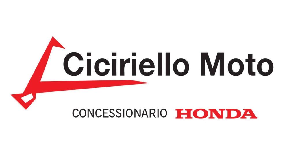 Aprilia Scarabeo 500 (2007 - 12) (10)