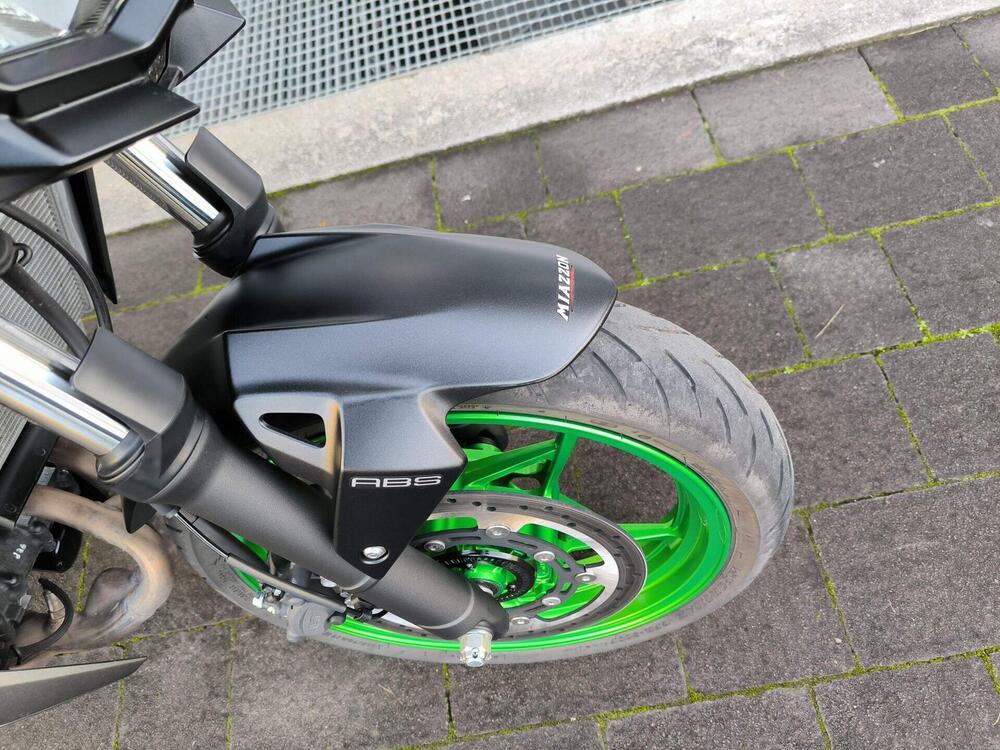 Kawasaki Z 500 SE (2024 - 26) (4)