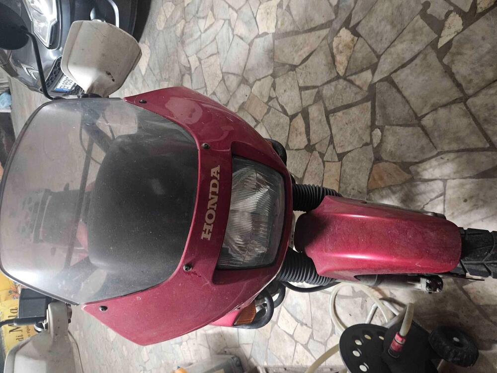 Honda transalp xl 600 (4)