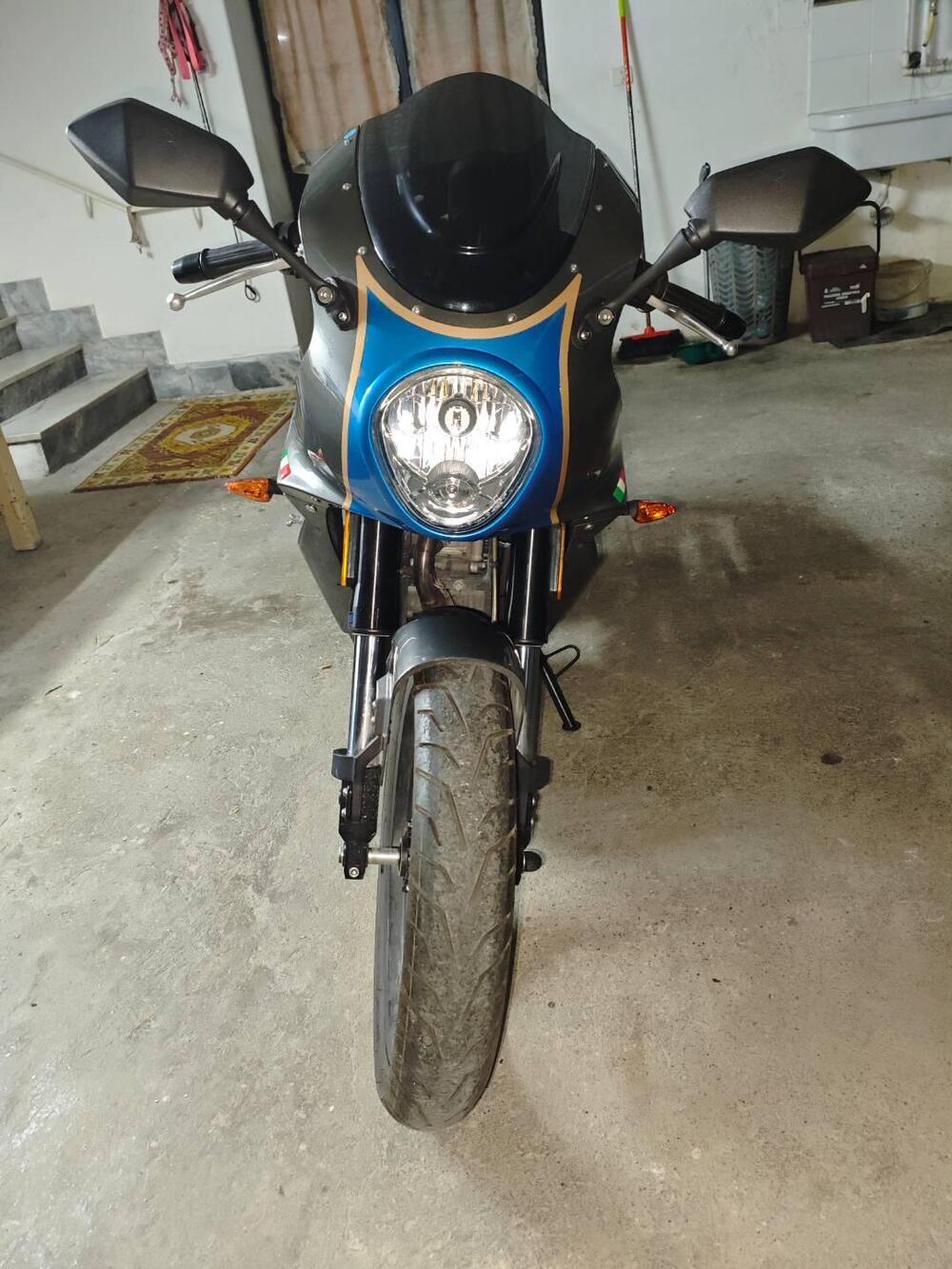FB Mondial Sport Classic 125 (2019 - 20) (3)