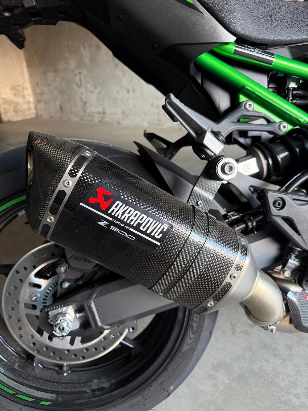 Kawasaki Z 900 Performance (2025 - 26) (5)
