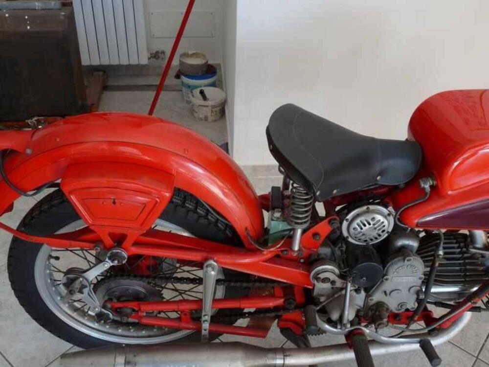 Moto Guzzi FALCONE (4)