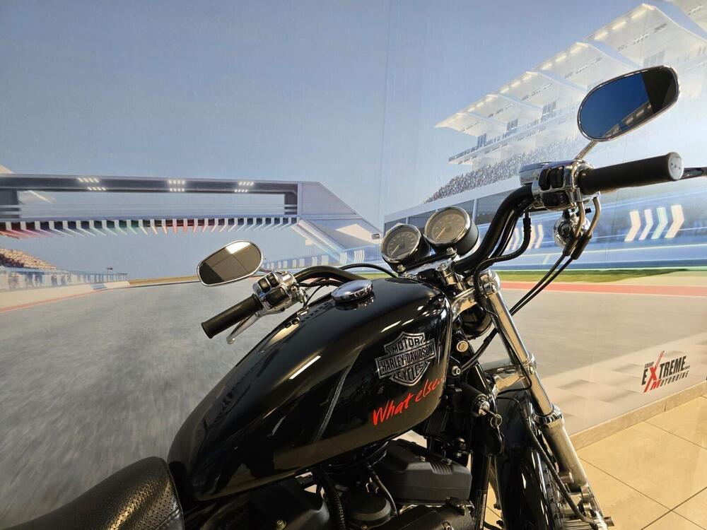 Harley-Davidson 1200 Roadster (2006 - 08) - XL 1200R (12)