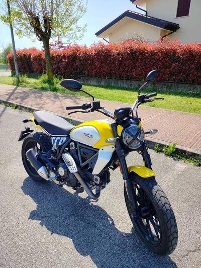 Ducati Scrambler 800 Icon (2023 - 25) usata