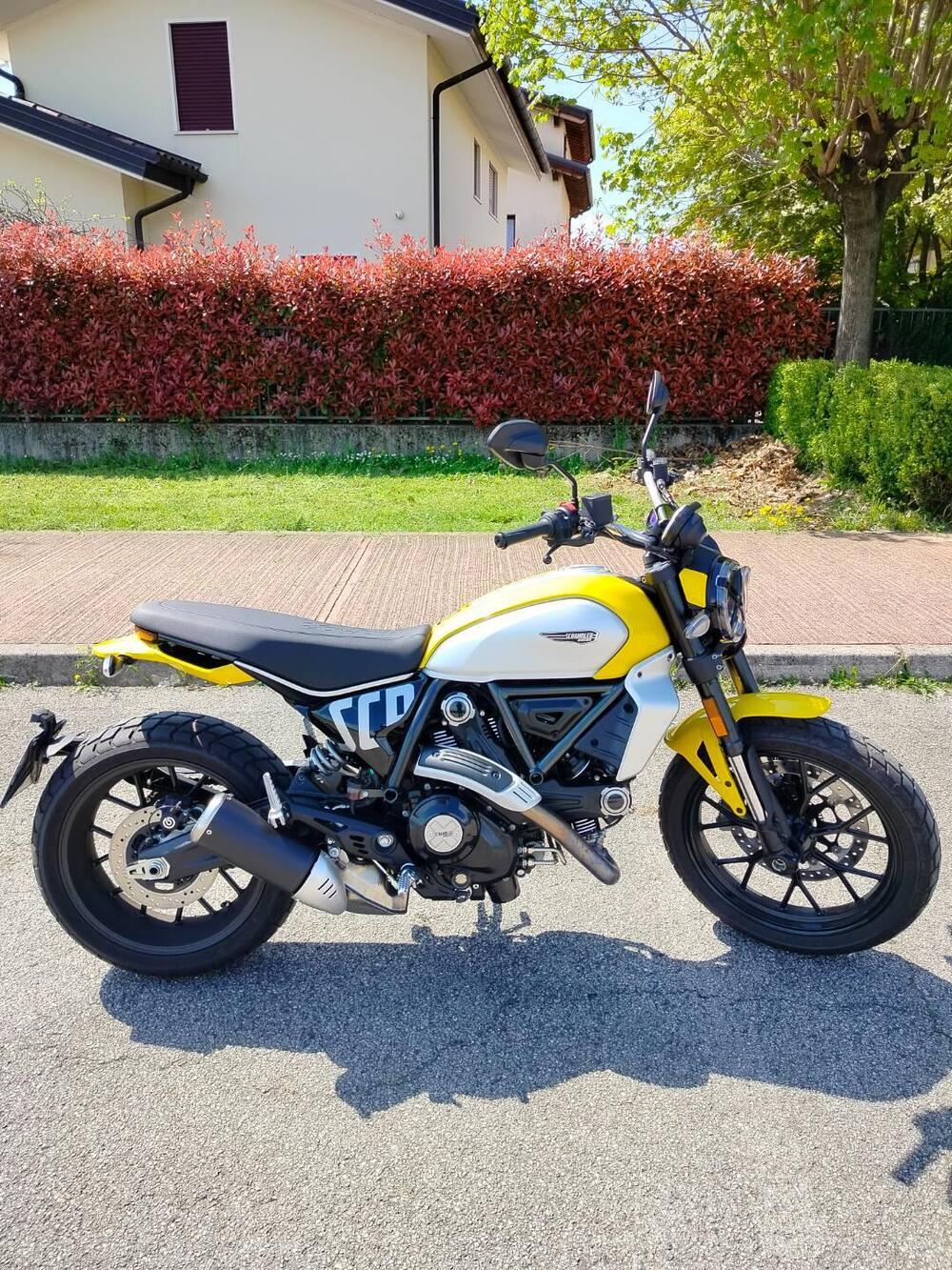 Ducati Scrambler 800 Icon (2023 - 25) (14)
