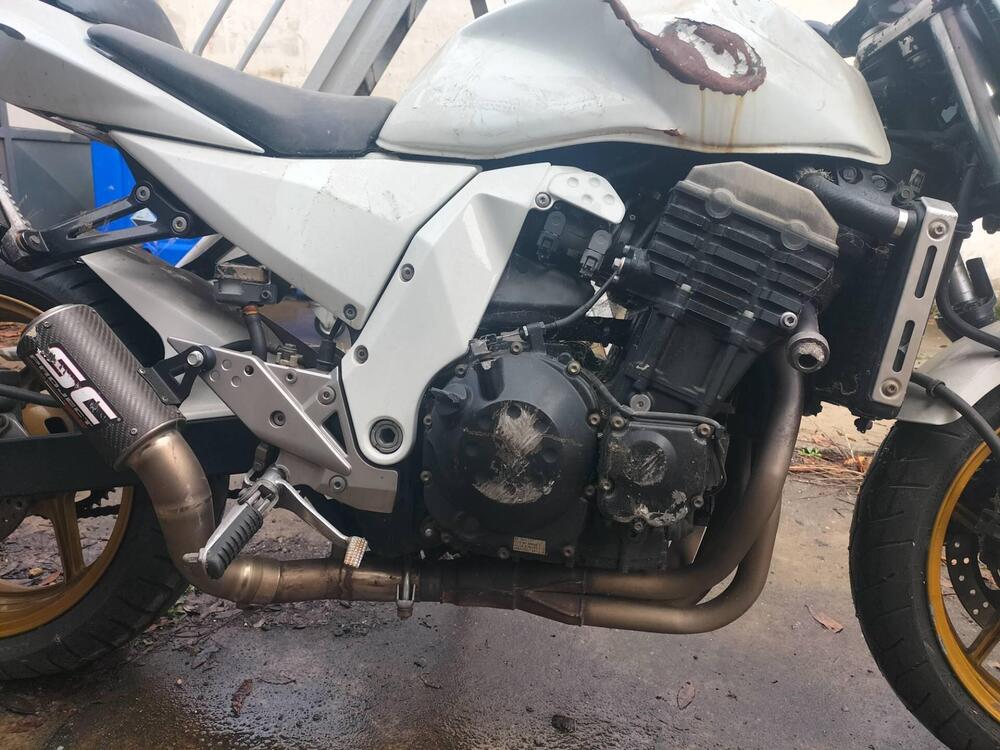 Kawasaki Z 750 (2003 - 06) (5)