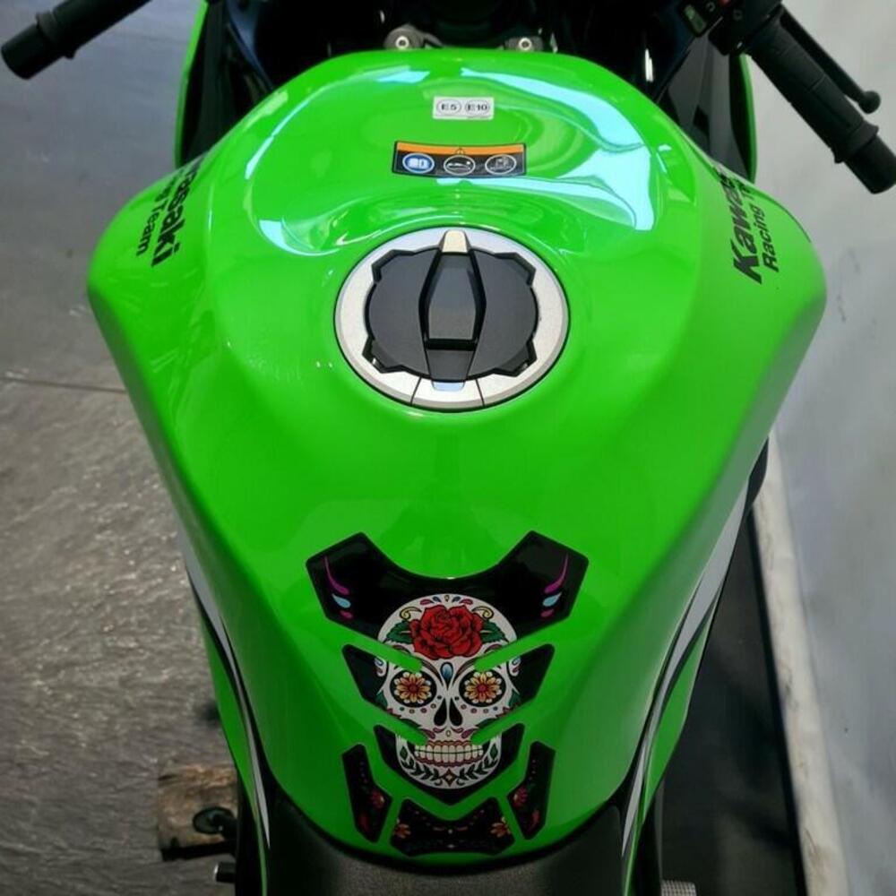 Kawasaki Ninja 636 ZX-6R (2024 - 26) (6)